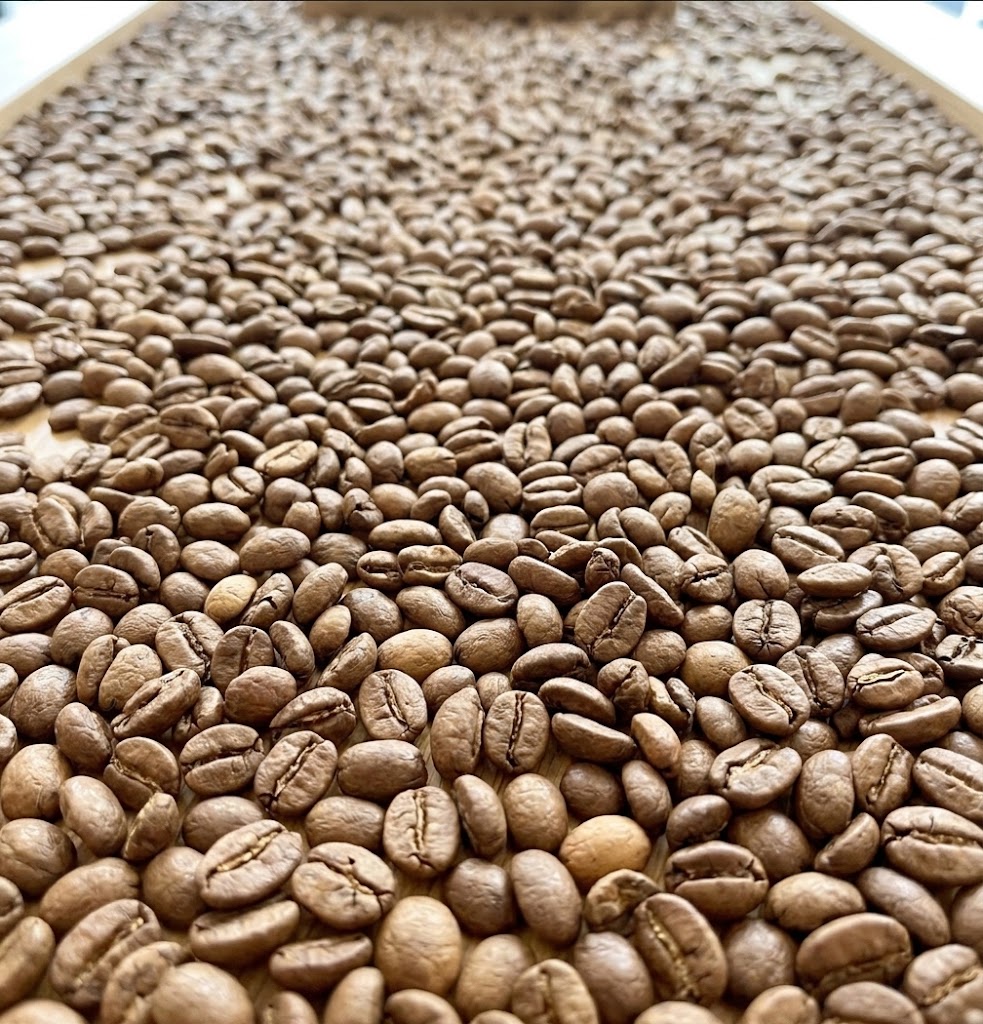 Grains de café torréfiés, sélection Noham